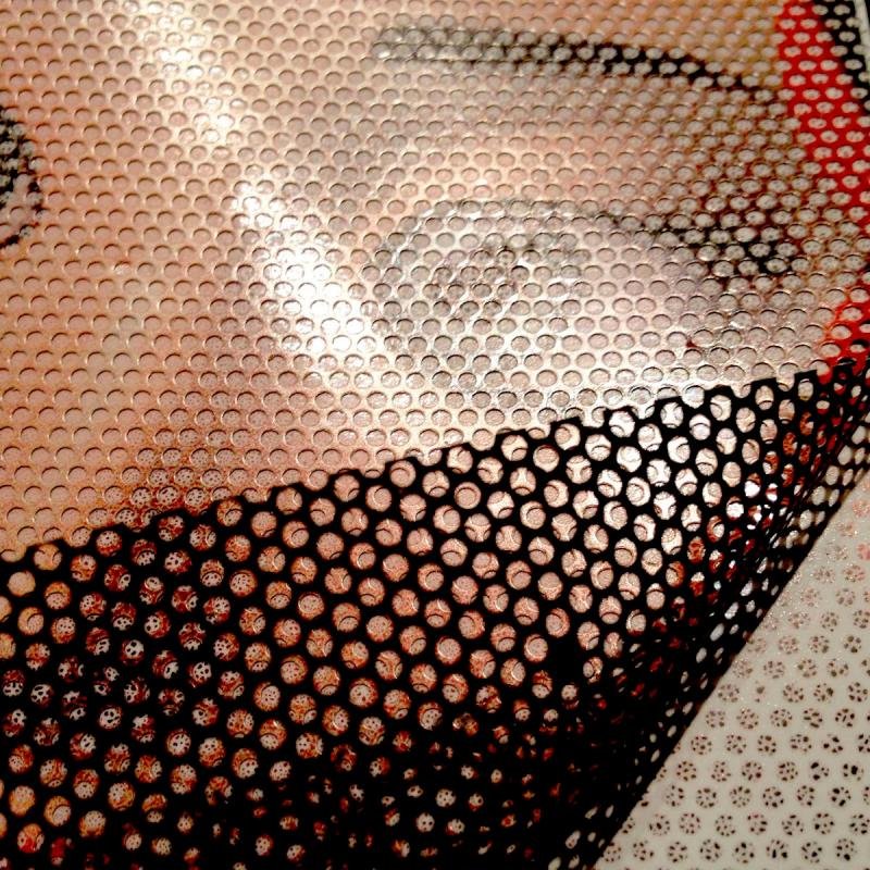 VINILOS MICROPERFORADOS