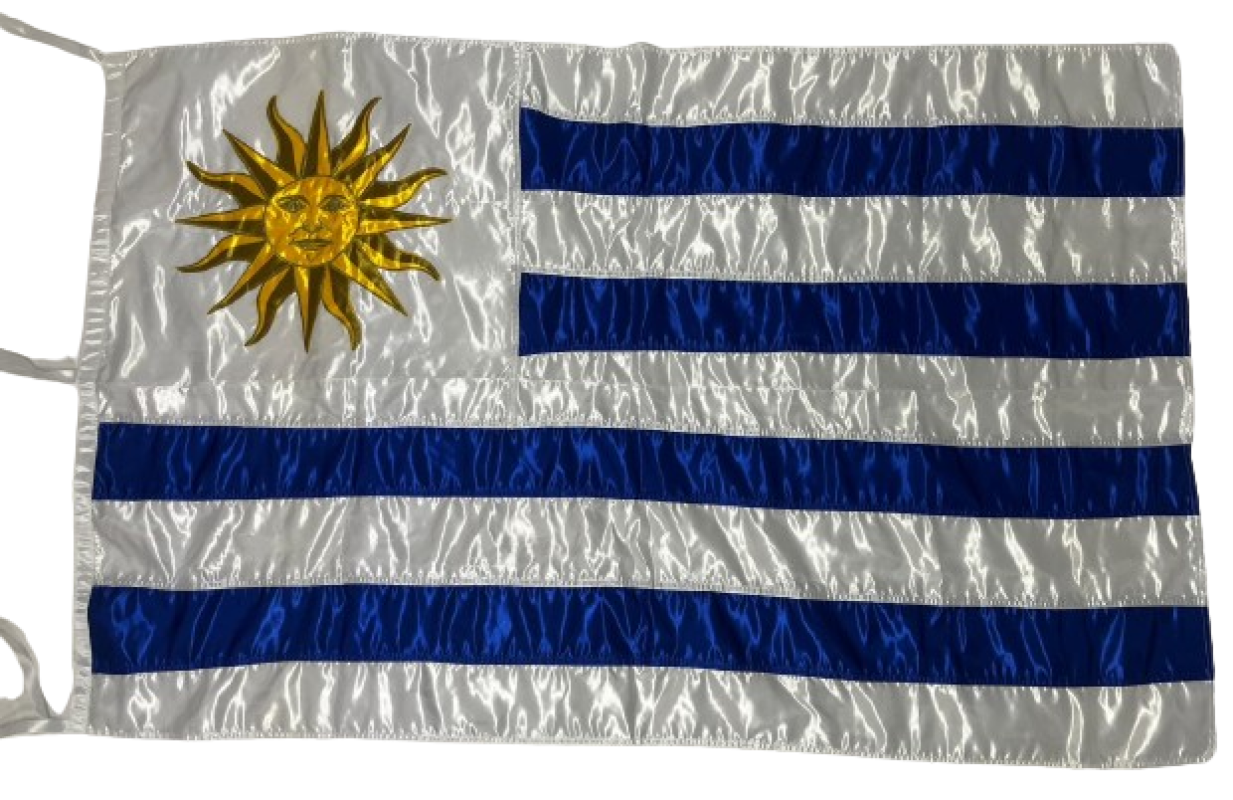 BANDERAS NACIONALES E INTERNACIONALES